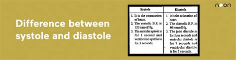 Difference Between Systole And Diastole Learn At Noon