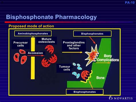 Pathophysiology Of Metastatic Bone Disease And The Role Of Bisphosp
