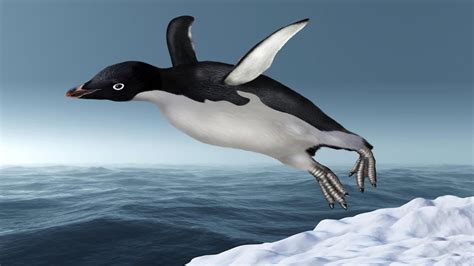Proof That Penguins Can Fly Youtube