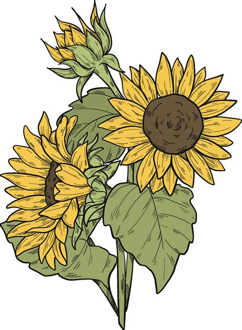 Sunflower Clipart Set 10 X Png Images Floral Clip Art With Etsy