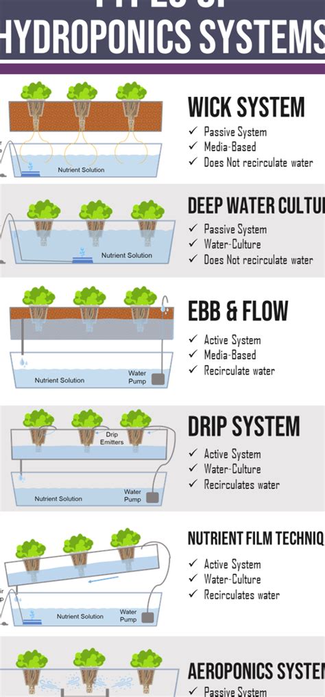 Ebb And Flow Hydroponic System Advantages And Disadvantages Emmy Landis