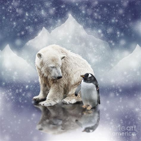 Funny Penguin And Polar Bear