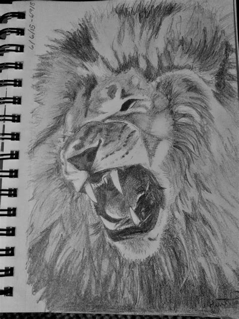 Roaring Lion Pencil Drawing Bestpencildrawing