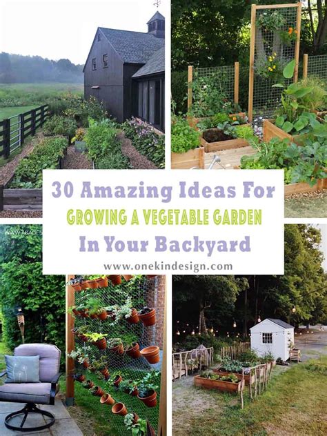 If you are interested in backyard garden ideas on a budget, composting is something to experiment with. 30 Amazing Ideas For Growing A Vegetable Garden In Your ...