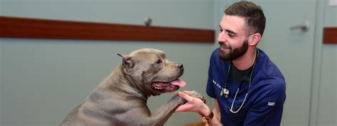 We offer discounts and open pricing information so that pet owners can make the best decision for their family. Chicago Veterinarians|Animal Hospital Chicago-Family Pet ...