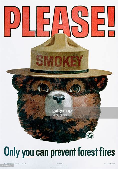 Please Only You Can Prevent Forest Fires Poster News Photo Getty Images
