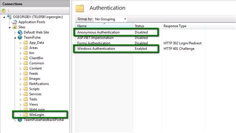 Setup Windows And Forms Authentication In IIS