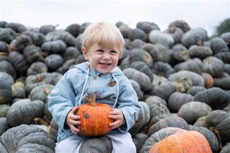 Cute Smiling Caucasian Kid Boy Sitting On Bunch Of Pumpkins Fall