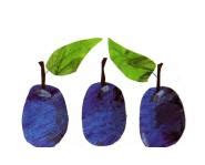 This story shows the life cycle from a caterpillar to a butterfly. Flashcards Table on Answer