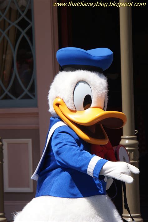 That Disney Blog D Is For Duckdonald Duck Disneyland