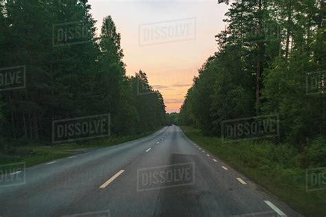 Empty Treelined Road At Sunset Stock Photo Dissolve