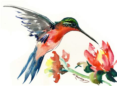Hummingbird And Flowers Original Watercolor Painting Etsy