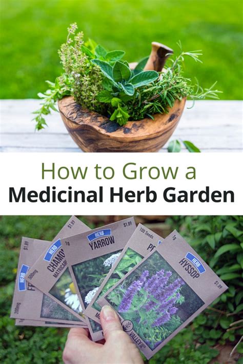 Growing A Medicinal Herb Garden Turning The Clock Back