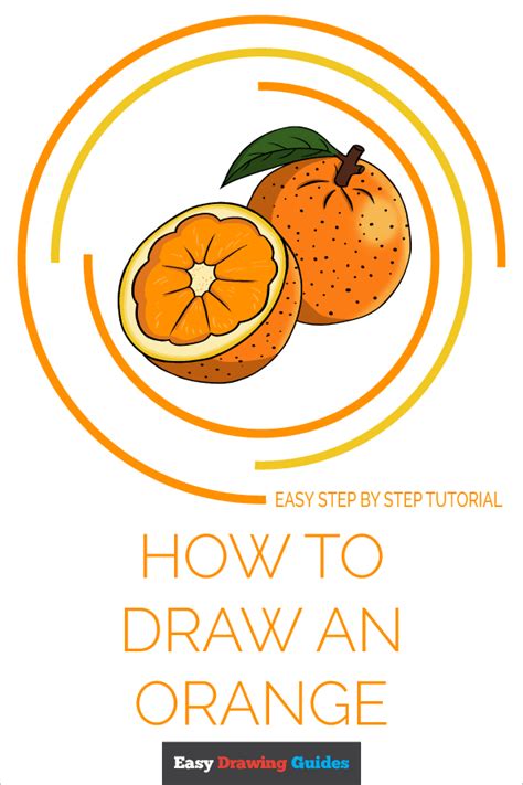 How To Draw An Orange Really Easy Drawing Tutorial Drawing Tutorial