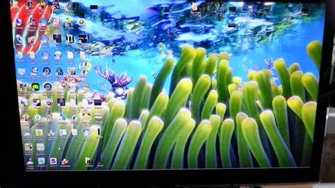 Sim Aquarium 3 live wallpaper mode in Windows 8 YouTube