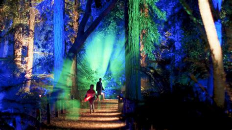 Descanso Gardens Enchanted Forest Of Light