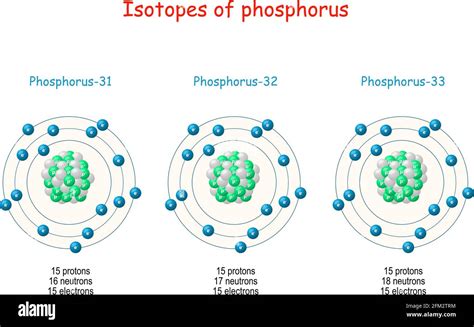 Phosphorus Isotopes Structure Of Atom Labeled Scheme With Particles
