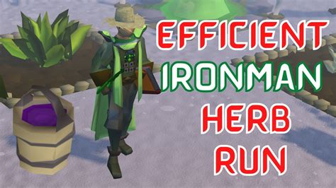 Efficient Ironman Herb Run Guide Osrs Youtube