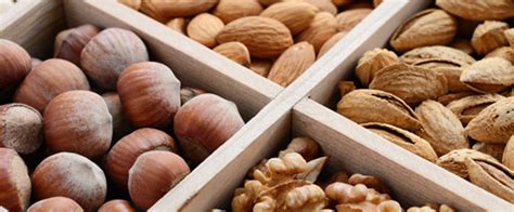 12 Types Of Edible Nuts With Pictures