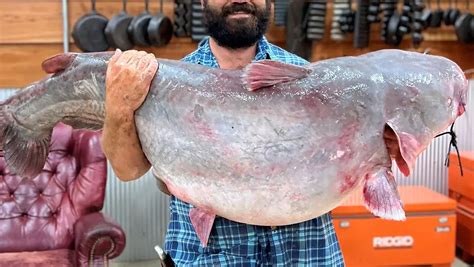 Angler Catches Ms State Record Catfish Wired2fish