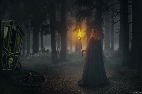 Dark Forest By Igortokar On Deviantart