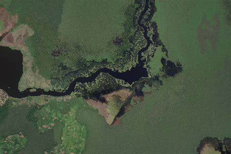 The ‘idea Uncovering The Peatlands Of The Congo Basin