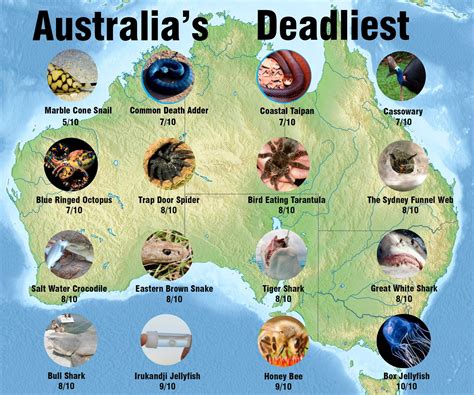 Australia Dangerous Animals In City World Animal