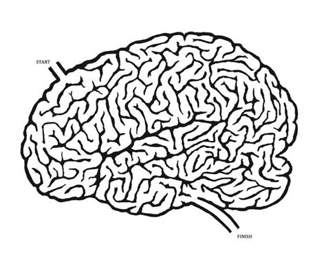 Brain Shaped Mazes Brain Shape Brain Brain Games