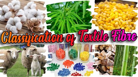 Classification Of Textile Fibers Sources Of Textile Fibre Youtube