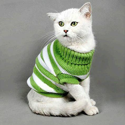 Sweater For Cats Knitwear Striped Cat Sweaters Kitty Small Etsy
