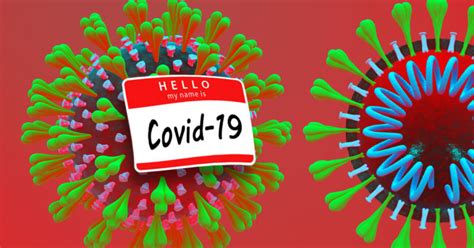 Coronaviruses are a family of viruses commonly infecting people and animals. The WHO Finally Gives the Coronavirus an Official Name