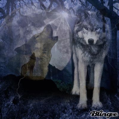 Howling Wolves Picture Blingee Com