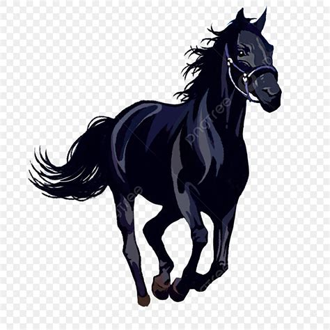 الحصان الأزرق والأسود عناصر مرسومة باليد حصان المرسومة أبيض وأسود