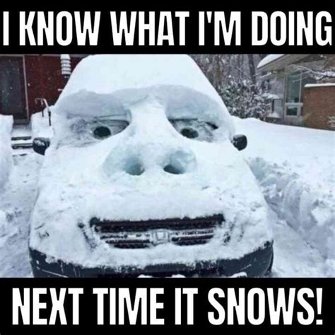 40 Funny Snow Memes That Capture The Frosty Fun