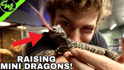WORLD'S COOLEST PET REPTILES!!! - YouTube