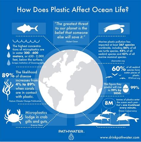 Water Pollution Plastic Pollution Ocean Pollution Facts Ocean Day