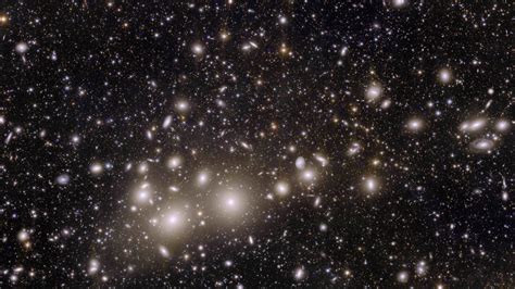 Esa Euclids View Of The Perseus Cluster Of Galaxies