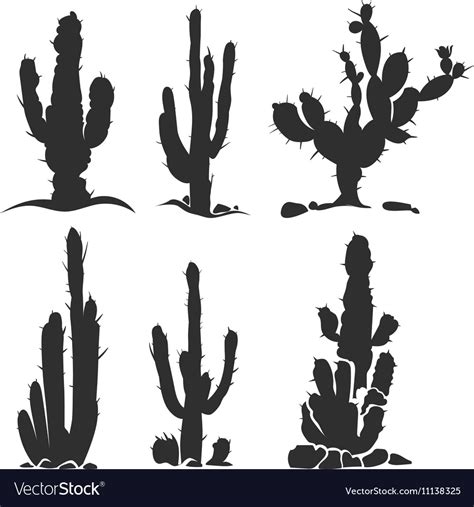 Desert Cactus Silhouette Plants Isolated Vector Image