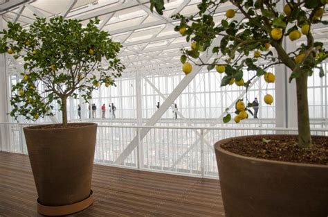 Renzo Piano El Genio De La Arquitectura Sostenible El Huffpost