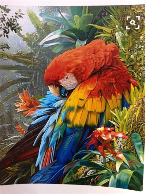 Parrot Painting Painting Kits Birds Painting Oil Painting Tropical