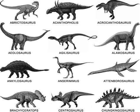 Nombres De Dinosaurios De La A A La Z Dinosaurioswiki
