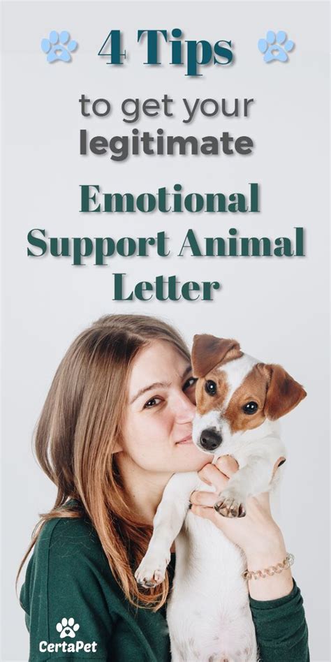 Many tasks ask you to submit a cover letter together with your other. Get Your Emotional Support Animal Letter in Less than 48 Hours | Emotional support animal ...