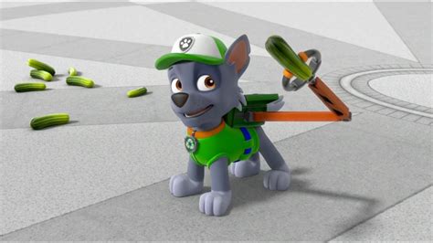 rocky gallery pups save the fizzy pickles paw patrol wiki fandom paw patrol pups pup rocky