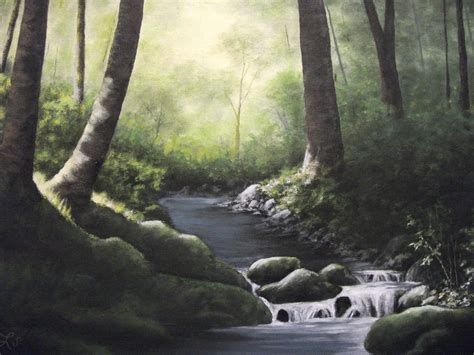 Woods Forest Trees Stream Water Summer Spring Nature