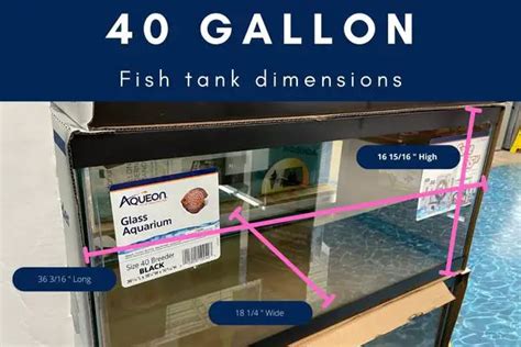 Gallon Fish Tank Dimensions Inches Centimeters Weight