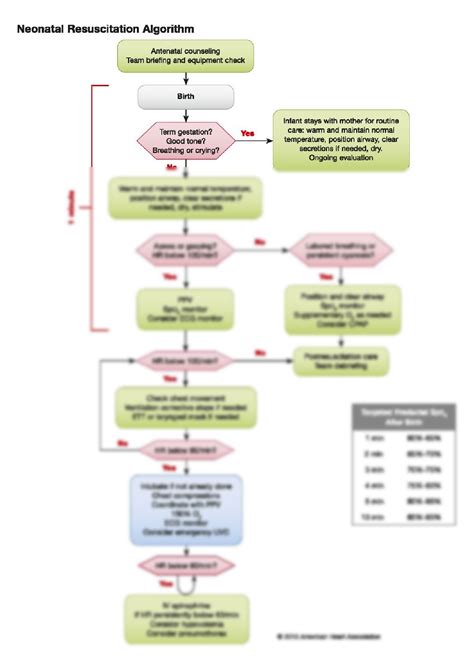 Solution Neonatal Resuscitation Studypool