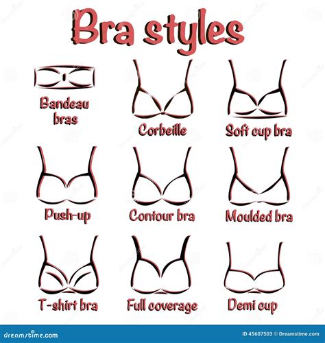 Bra Sizes And Types