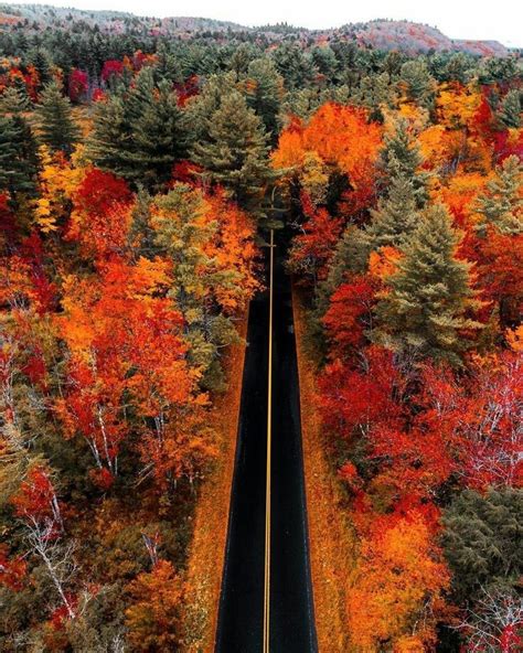 Scenic Fall Drives In Massachusetts Have A Substantial Biog Picture