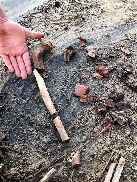 February Rains May Have Uncovered Native American Bones Near Priceville