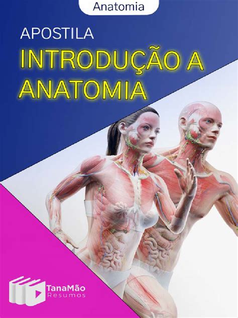0 Apostila Introdução A Anatomia Pdf Anatomia Corpo Humano